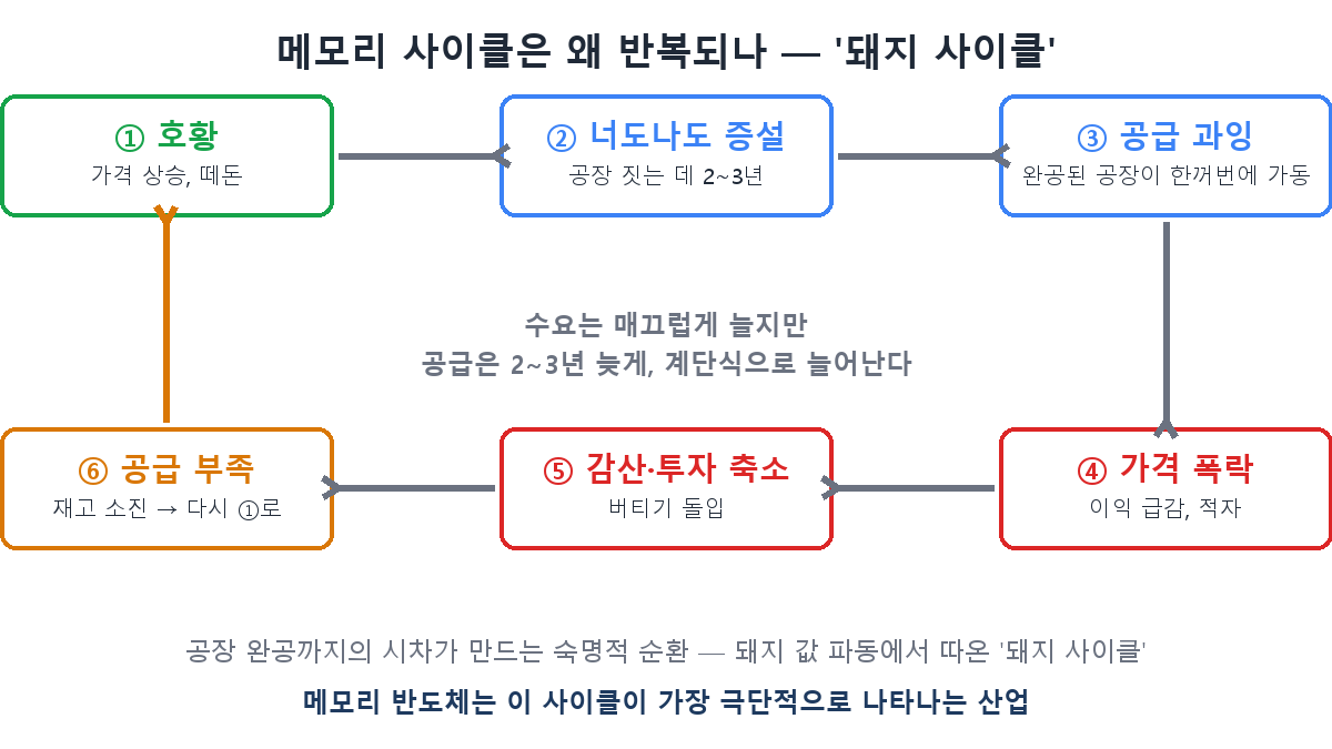 메모리 사이클이 반복되는 원리 — 돼지 사이클 6단계 순환도